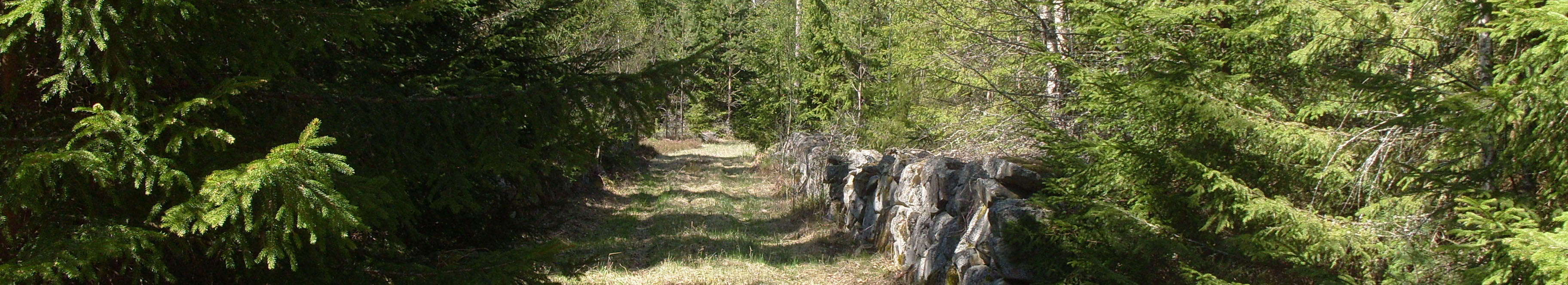 torpvandring09