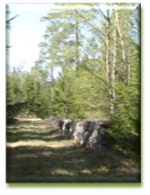 torpvandring09