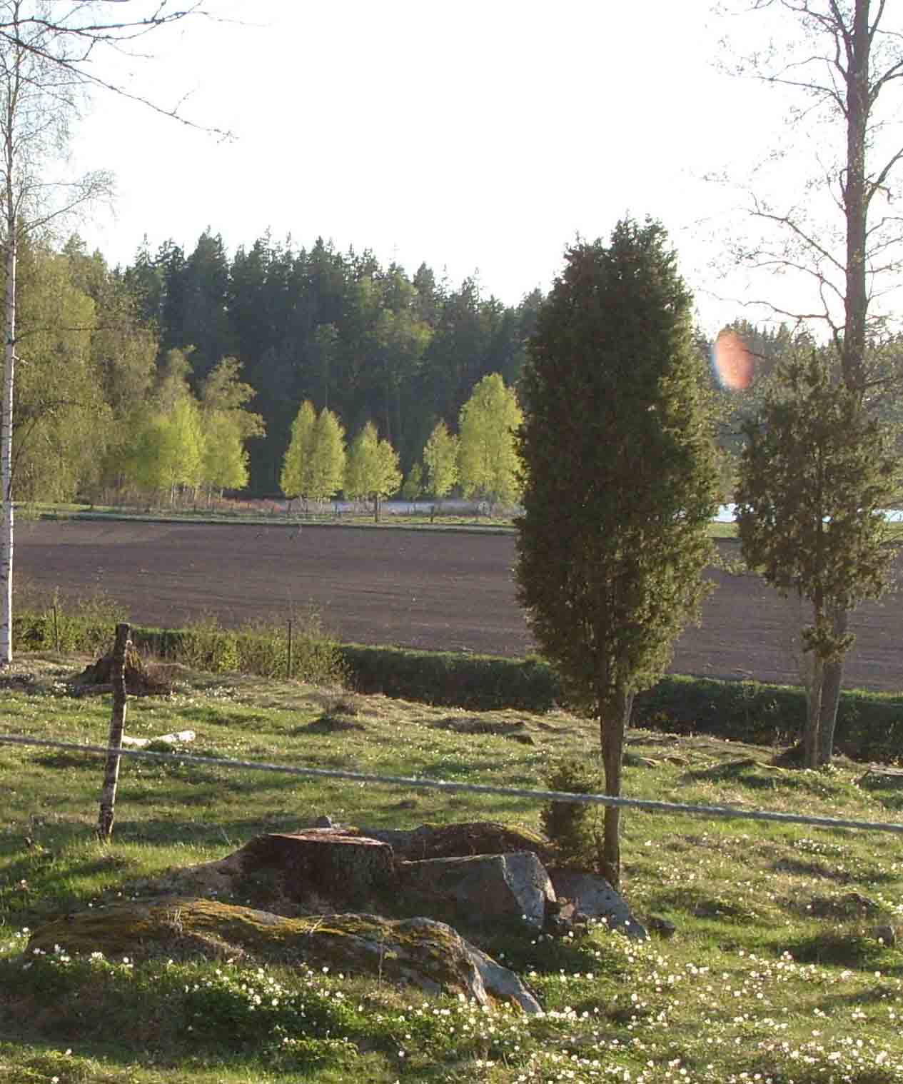 dalen