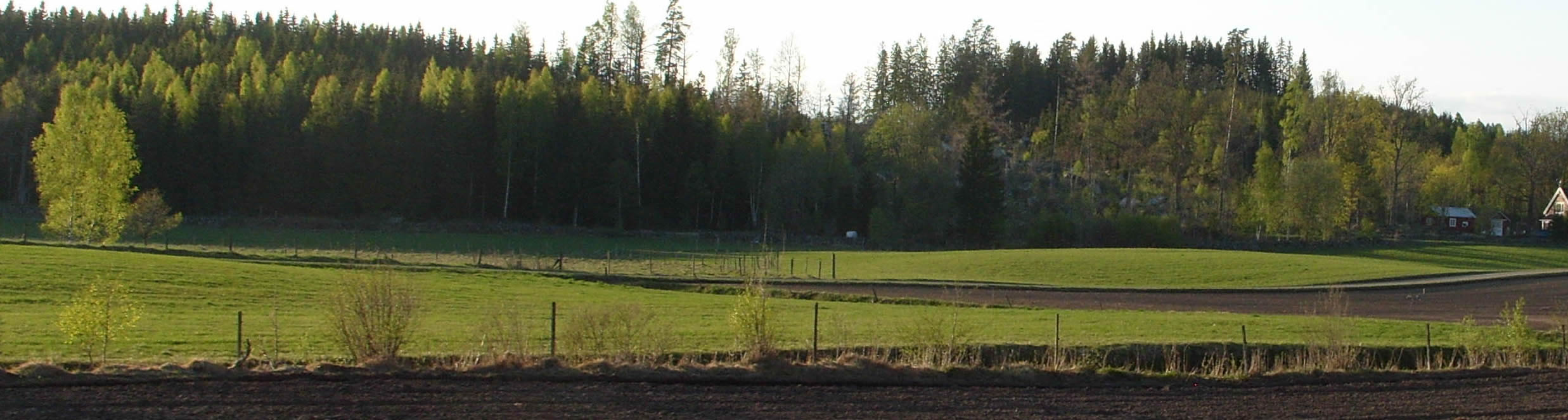 äppelblom