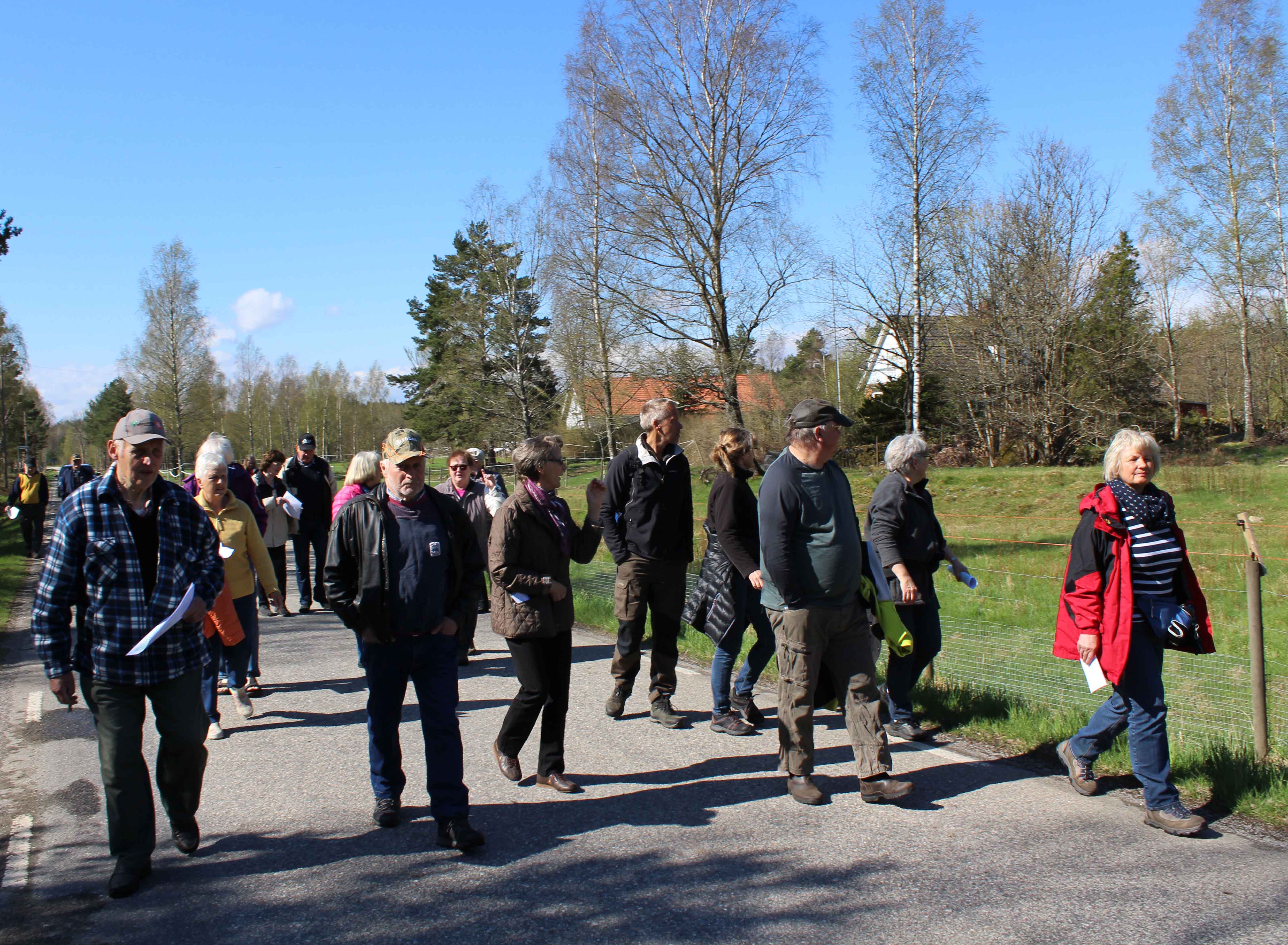 maj1