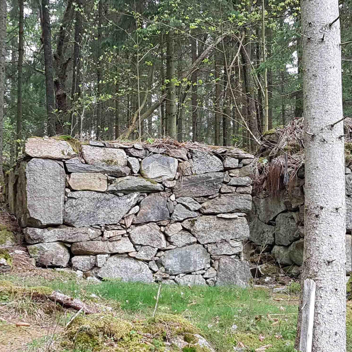 torp