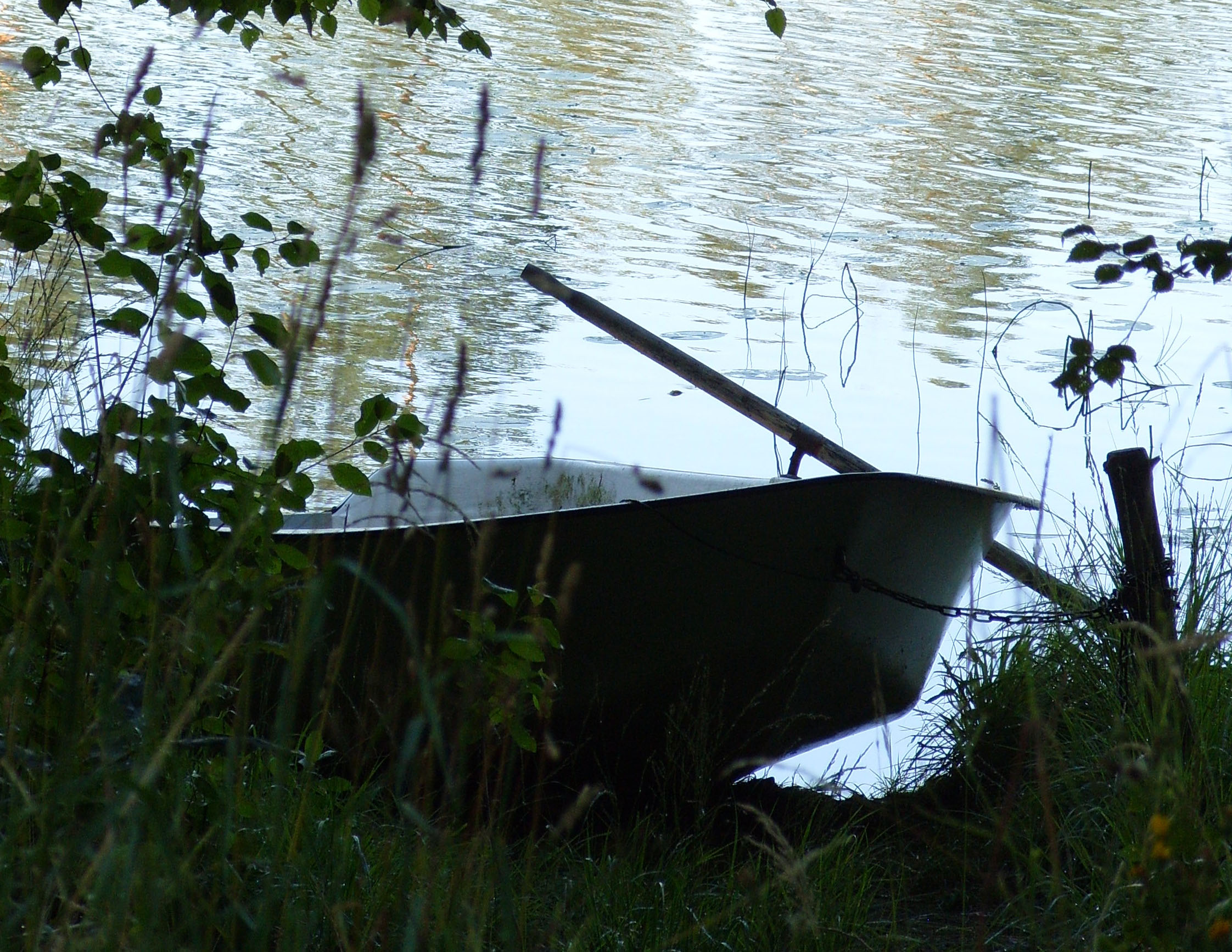 båt