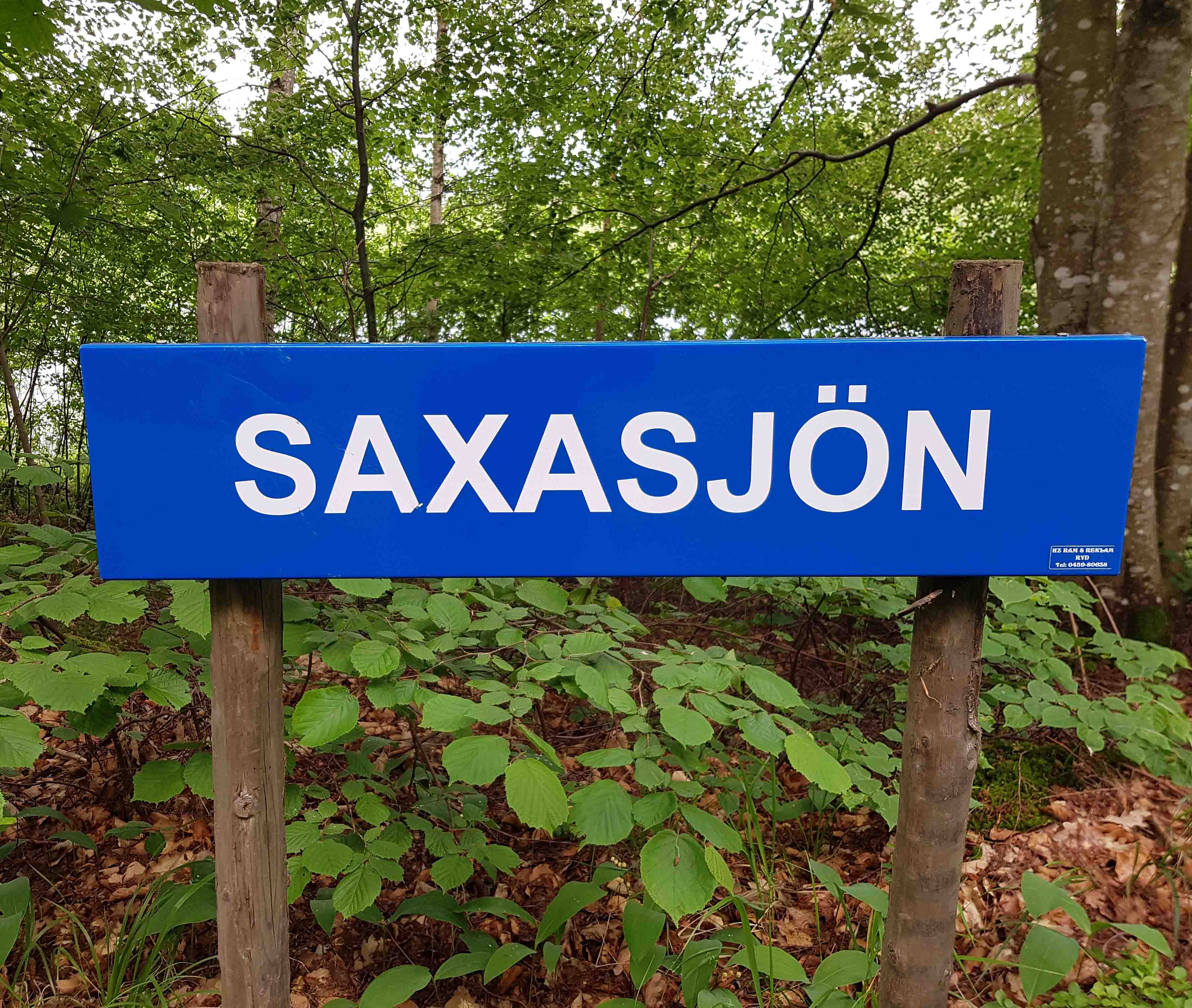 saxa