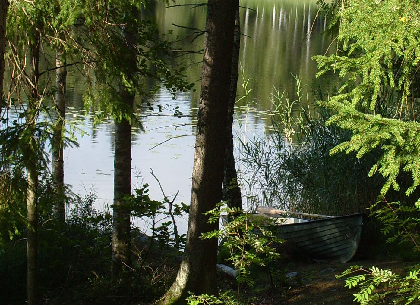 svartasjö