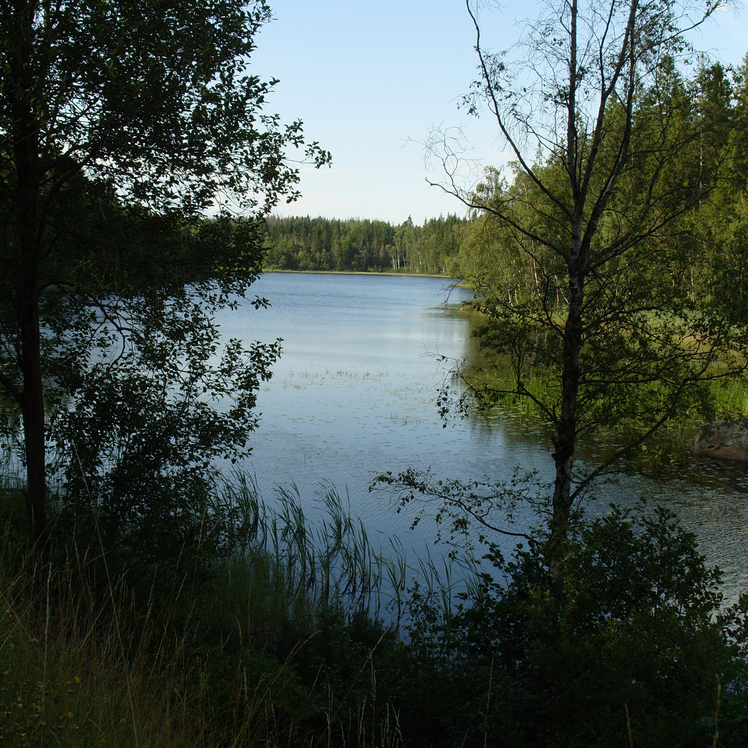 svartasjö