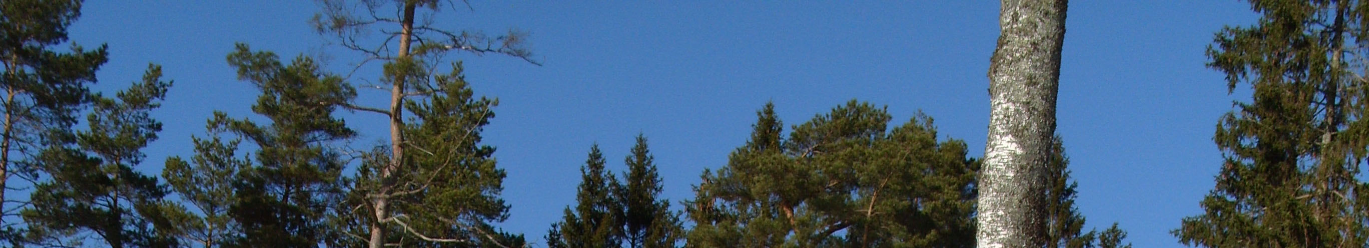himmel