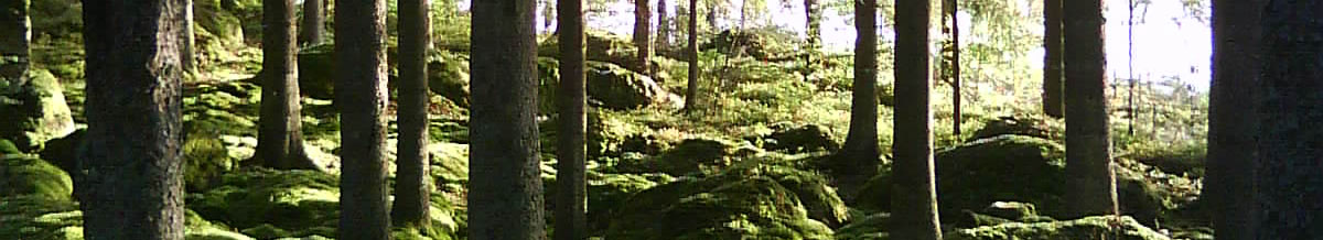 skog